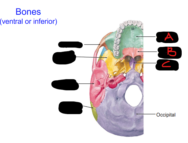 <p>Define C</p>