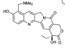 <p>[CELL CYCLE SPECIFIC AGENTS]</p><p>a. Topotecan</p><p>b. Irinotecan</p><p>c. Predinisone</p><p>d. Hydroxyurea</p><p>e. Bleomycin</p><p>f. Etoposide</p><p>g. Teniposide</p><p>h. Paclitaxel</p><p>i. Docetaxel</p><p>j. Vincristine and Vinblastine</p><p>k. Vinorelbine</p>
