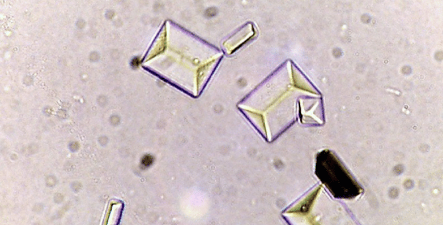 <p>pH >7.5</p>