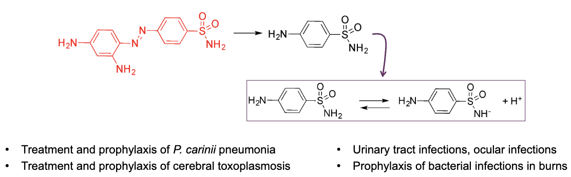 <ul><li><p>Class of antibacterials derived from Prontosil (red structure)</p></li><li><p>inhibit dna synthesis without interfering with the enzymes directly </p></li><li><p>First effective chemotherapeutics for systemic infections</p></li><li><p>Big reduction in mortality caused by bacterial infections</p></li><li><p>Superseded by penicillins as they are more active</p></li><li><p>prontosil when adminstered systemically releases sulfonamide</p></li><li><p>acidic group on right loses proton due to presence of electron attractive group </p></li></ul><p></p>