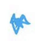 <p>Describe the movement of this protein</p>