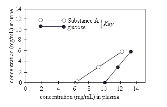 <p>Equal concentrations of 8 mg/mL of Substance A and glucose are found in a volunteer's plasma. Based on Figure 1, which substance will the kidney <span style="line-height: inherit; font-size: inherit;">clear</span> from the plasma more rapidly?</p><p><strong>A. </strong>Substance A, because the slope of the clearance line for Substance A is higher than that for glucose</p><p><strong>B. </strong>Substance A, because Substance A reaches its T<sub>m</sub> at a lower plasma concentration than does glucose</p><p><strong>C. </strong>Glucose, because glucose reaches its T<sub>m</sub> at a higher plasma concentration than does Substance A</p><p><strong>D. </strong>Glucose, because the slope of the clearance line for glucose is lower than that for Substance A</p>