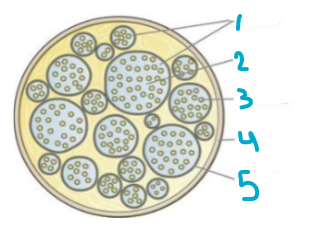 <p>Label this chart</p>