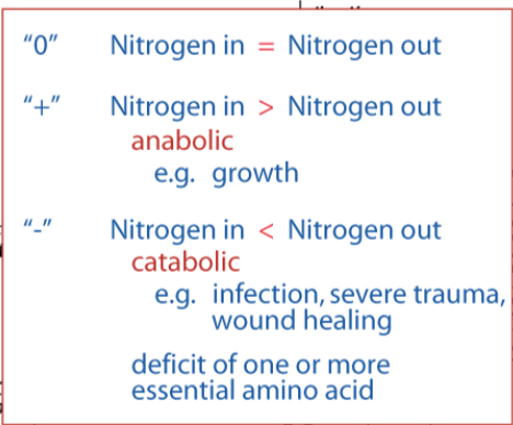 <p>What happens when nitrogen intake equals nitrogen excretion </p>