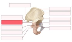 <p>What should go in the highlighted red blank?</p>