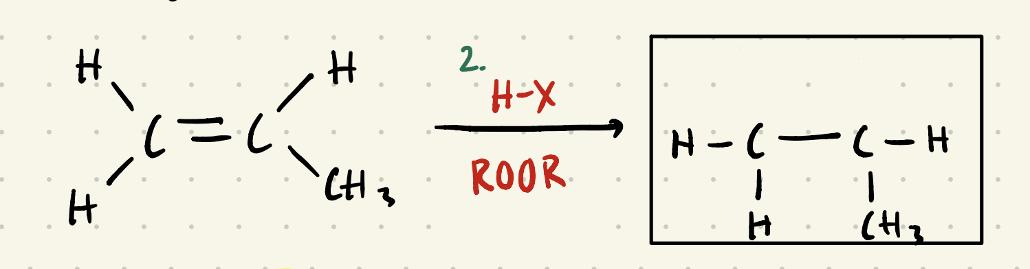 <p></p><p>It causes the addition of H and X to occur in an anti-Markovnikov fashion, where X is added to the LEAST subbed carbon and H is added to the MORE substituted carbon. </p>