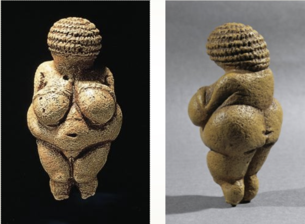 <p>What is the name of this figure</p>