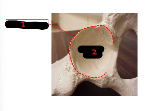 <p>1</p>