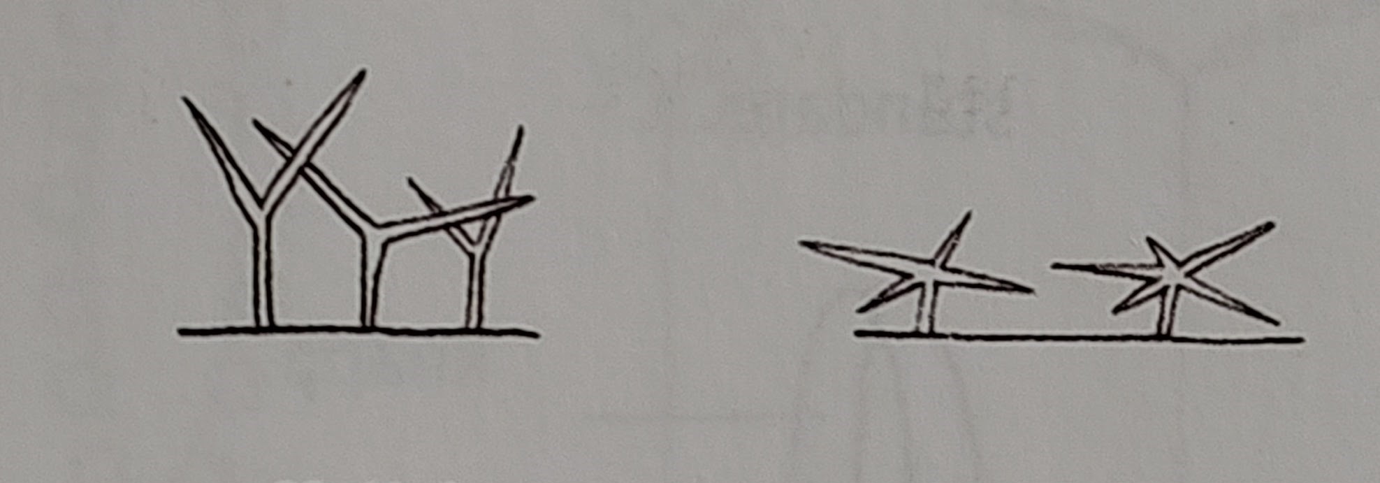 <p></p>
