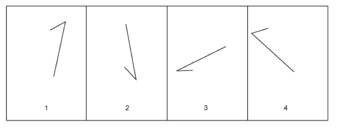 <p><strong>angle discrimination</strong></p>