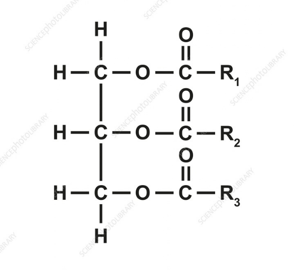 <p>what structure is this? </p>