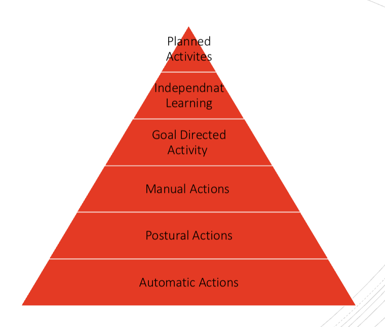 <p>Allen Cognitive Levels </p>