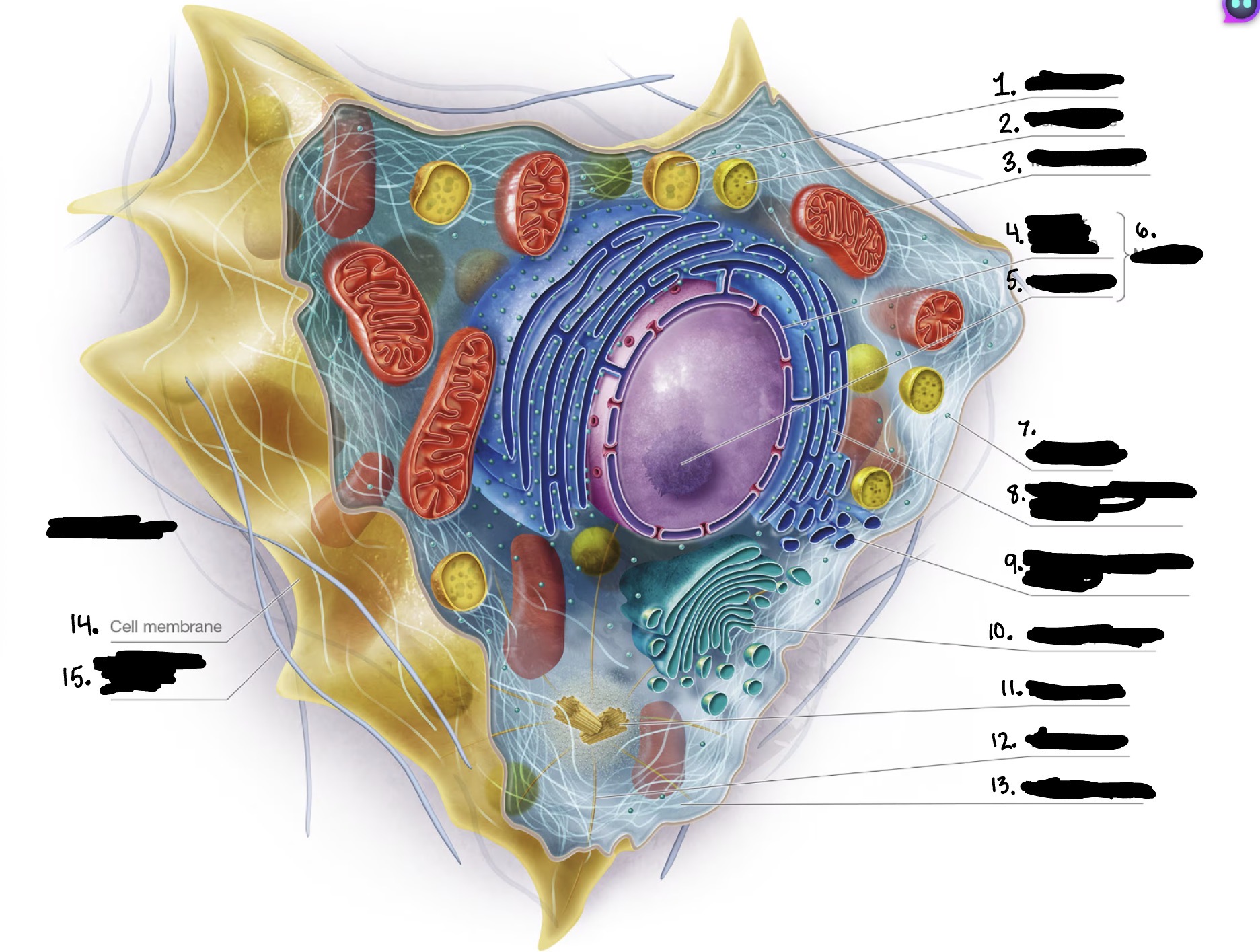 knowt flashcard image