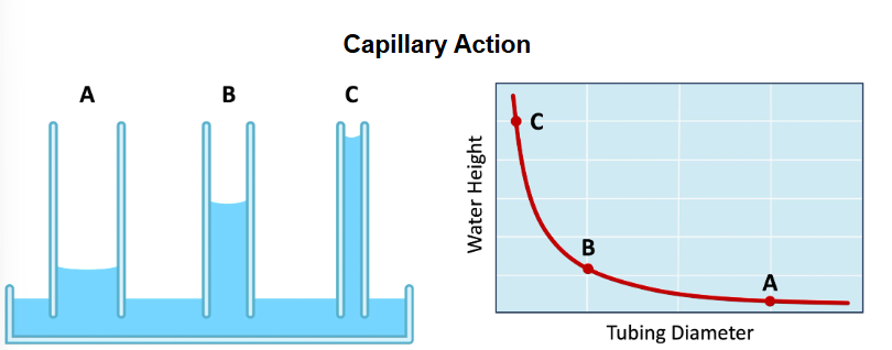 <p>responsible for the movement of water through the soil from the deeper water table</p><p></p><ul><li><p>the type of soil will influence the strentgh of the capillary action dependant on how porous it is affection the efficact of aricultural practices</p></li></ul><p></p>