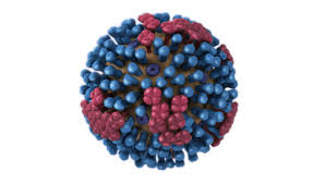<p>What virus is this?</p>