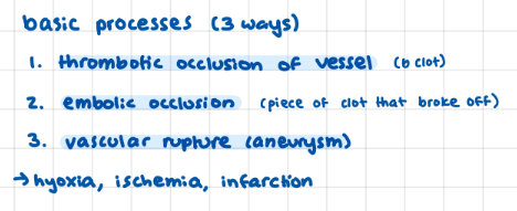 <p>1) thrombotic occlussion (blood clot)</p><p>2) emboolic occlusion (piece of clot)</p><p>3) vascular rupture (aneurysm)</p>