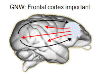 <p>Global neuronal workspace theory</p>