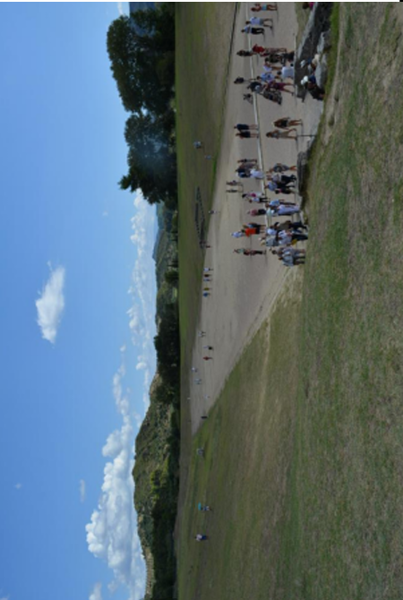 term image
