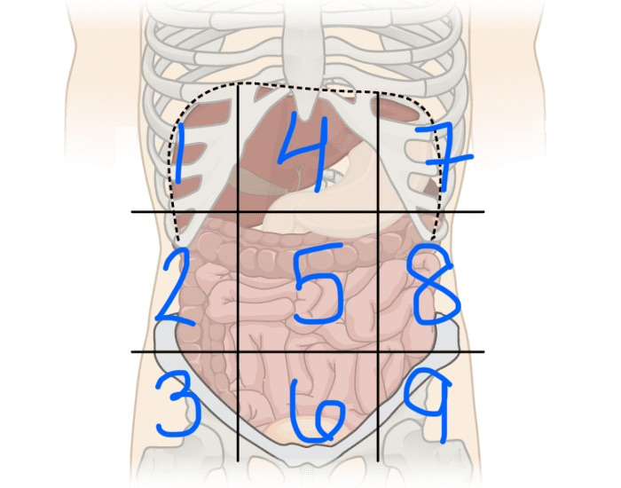 <p>6</p>
