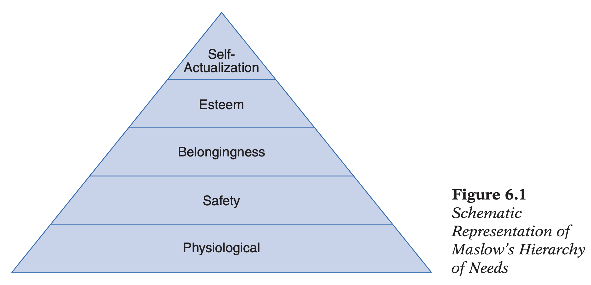 <p><strong>Related Theoretical Conceptions with purpose:</strong> extends Rogers beyond psychotherapy; complementary humanistic perspectives → emphasize growth, strengths, meaning ≠ pathology; reinterpret/expand Rogers before modern empirical research.</p><p class="p1"></p><ol><li><p class="p1"><strong>Human Potential Movement (“Third Force”</strong>; alternative to (a) <strong>Freud</strong> (conflict/pathology) + (b) <strong>Behaviorism</strong> (environmental determinism))</p></li></ol><ul><li><p><strong>Core assumption:</strong> humans possess inherent <strong>potentialities</strong> (growth; creativity; adaptation; self-actualization); future-oriented striving → realizing capacities ≠ repeating past conflicts/conditioning.</p></li><li><p><strong>Abraham Maslow</strong> assumed that humans are basically good/neutral; intrinsic growth motive; psychopathology → frustration/blocking of natural development by social environment.</p></li><li><p><strong>Contribution 1: Hierarchy of Needs; </strong>Physiological (food; water) → Safety → Belongingness → Esteem → Self-actualization (Psychology overemphasized biological deficit reduction ≠ higher psychological growth)</p></li></ul><ul><li><p><strong>Contribution 2: Study of self-actualizers; </strong>Study exceptionally healthy individuals ≠ average/pathological populations</p><ul><li><p>Characteristics: self-/other-acceptance; balance own + others’ needs; flexible (≠ stereotyped); intimate relationships; spontaneity; creativity; independence from conformity; realistic adaptation; authenticity.</p></li></ul></li></ul><p class="p1"></p><ol start="2"><li><p class="p1"><strong>Positive Psychology / Human Strengths Movement</strong></p></li></ol><ul><li><p><strong>Core claim:</strong> psychology historically overfocused on pathology (e.g., Freud’s clinical samples); study flourishing, strengths, virtues, optimal functioning.</p></li><li><p><strong>Limitation:</strong> identifies strengths better than explaining how societies systematically develop them.</p></li><li><p><strong>(2.1) Seligman</strong></p><ul><li><p><strong>Human strengths:</strong> (a) enduring; (b) broadly beneficial; (c) socially encouraged; (d) cross-culturally valued → <strong>6 virtues:</strong> Wisdom; Courage; Love; Justice; Temperance (forgiveness); Transcendence (appreciation of beauty).</p></li><li><p>Positive Psychotherapy (because early work on learned helplessness & depression): ↑ positive emotion + meaning (strength identification; three good things; gratitude letter); promising but further independent evidence needed (!)</p></li></ul></li><li><p><strong>(2.2) Fredrickson: Broaden-and-Build Theory</strong></p><ul><li><p>Positive emotions → broaden cognition/behavior (exploration; creativity; flexibility) → build enduring competencies/resources (e.g. interest → exploration; pride → further achievement)</p></li><li><p><strong>Speech experiment</strong>: resilient individuals experiencing positive emotions → ↓ physiological stress (buffering effect).</p></li></ul></li><li><p><strong>(2.3) Csikszentmihalyi: Flow</strong></p><ul><li><p>Skill ≈ challenge; complete attentional absorption; intrinsic enjoyment; loss of self-consciousness; distorted time perception; distractions absent.</p></li><li><p>Demonstrates optimal functioning ≠ merely absence of pathology.</p></li></ul></li></ul><p class="p1"></p><ol start="3"><li><p class="p1"><strong>Existentialism</strong></p></li></ol><ul><li><p><strong>Focus:</strong> existence; human condition; lived (phenomenological) experience ≠ abstract theories/general law; individual; subjective experience; freedom; responsibility; authenticity; meaning; death; existential anguish.</p></li><li><p><strong>(3.1) Rogers’ existential elements</strong></p><ul><li><p>Empathy; authenticity + <strong>Existential loneliness:</strong> deeply personal experiences rejected/not understood → relieved through empathic understanding.</p></li></ul></li><li><p><strong>(3.2) Frankl</strong></p><ul><li><p>Primary motive = search for meaning; <strong>Existential frustration/neurosis</strong> → failure to find meaning; escape from freedom/responsibility.</p></li><li><p><strong>Logotherapy:</strong> discover personally meaningful purposes; realize human potential ≠ merely symptom reduction.</p></li></ul></li><li><p><strong>(3.3) Sartre</strong></p><ul><li><p>(a) Consciousness imagines possibilities (“nothingness”) → genuine free choice; Freedom → personal responsibility (even under extreme conditions).</p></li><li><p>(b) Rejects essentialism: <strong>existence precedes essence</strong>; people create themselves through choices/actions; Humans ≠ objects/animals (e.g., painting a brown horse white ≠ changes essence; humans create identity).</p></li><li><p>Criticism: Freud; behaviorists; automatic-process research → unconscious/automatic determinants limit freedom.</p></li></ul></li><li><p class="p1"><strong>(3.4) Terror Management Theory (Experimental Existentialism)</strong></p><ul><li><p class="p1"><strong>Basis:</strong> (1) desire to live + (2) awareness of inevitable death → potential death anxiety (terror) // Culture/worldviews buffer anxiety by providing meaning (religion; collective identity).</p></li><li><p class="p1"><strong>Mortality salience manipulation:</strong> write about own death; death-anxiety scales; gory fatal-accident films; subliminal death primes → <strong>Effects:</strong> ↑ worldview defense; ↑ in-group favoritism (e.g., donations); ↑ hostility/physical aggression toward out-groups/opposing beliefs; ↑ anxiety toward blasphemous cultural/religious acts; ↓ interest in purely animalistic sex; ↑ interest in romantic/loving sex; <strong>high self-esteem buffers death anxiety</strong> → Existential concepts become experimentally testable.</p></li></ul></li></ul><p></p>