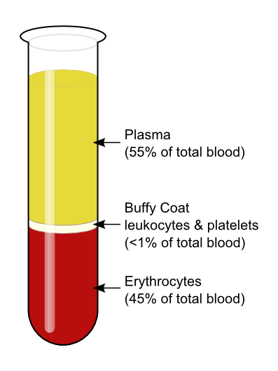 <p>TOP: Plasma 55%</p><ul><li><p>Liquid: Lipids, salt, proteins, water</p></li></ul><p>MID: Luekocytes + platelets 1%</p><ul><li><p>WBC- fight infection</p></li><li><p>Platelets- Blood clotting (think scraping knee)</p></li></ul><p>BOT: Erythrocytes 44% </p><ul><li><p>RBC- transport gases</p></li></ul><ul><li><p>Hemoglobin - Iron rich protein in RBC (makes blood red)</p></li></ul><p></p>