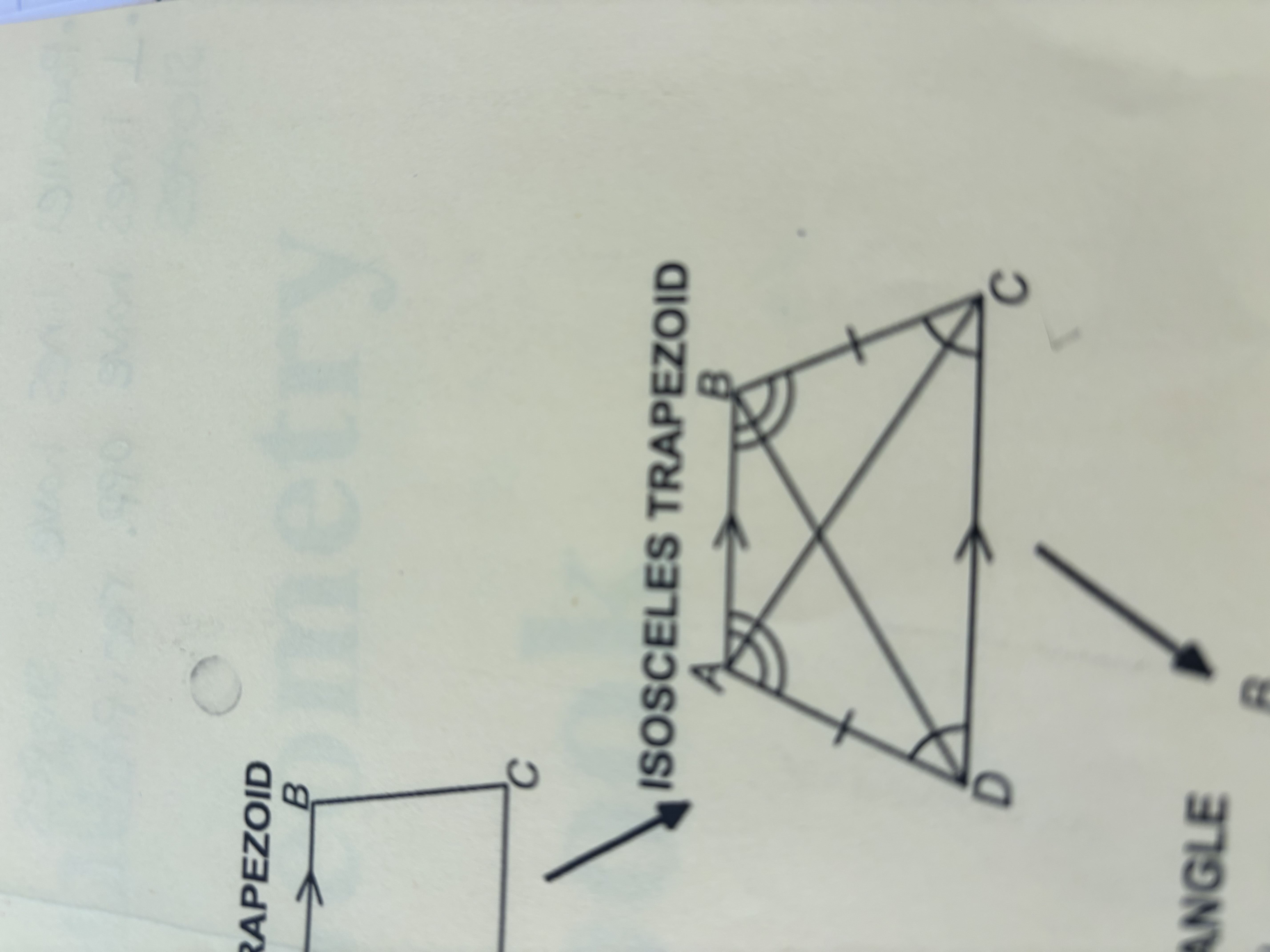 <p>Isosceles trapezoid</p>