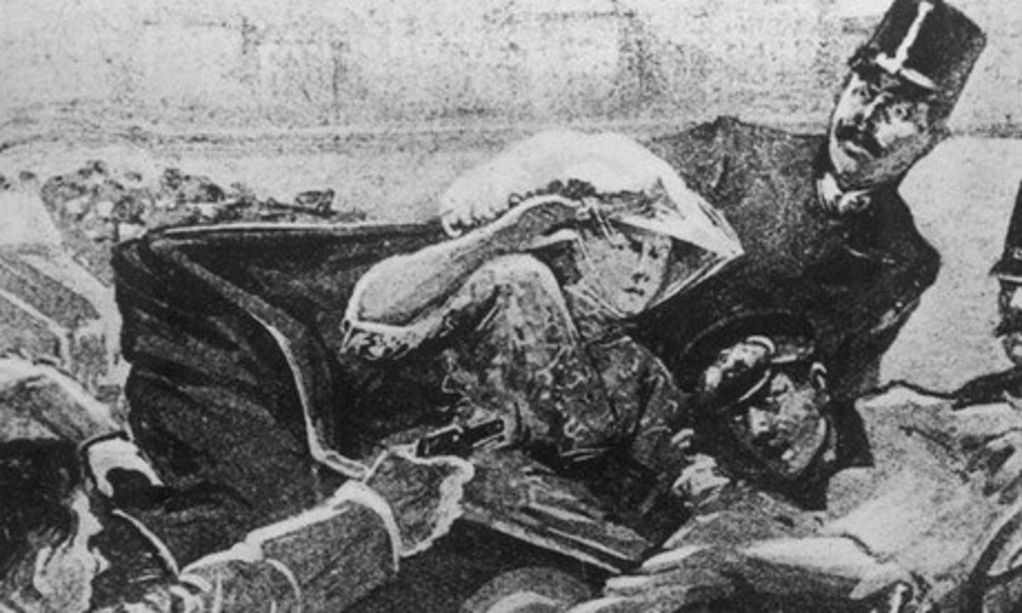 <p>This was the spark that started World War I. The Austrian crown prince, was murdered on June 28, 1914, by a Serbian nationalist while visiting Sarajevo, Bosnia. Germany urged Austria-Hungary to fight and they went to war against Serbia</p>