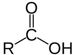 <p>R-COOH</p><p>CarbOXYlic </p><p>Carbonyl (C=O)</p><p>Attached to one Alcohol (OH) and one C</p>