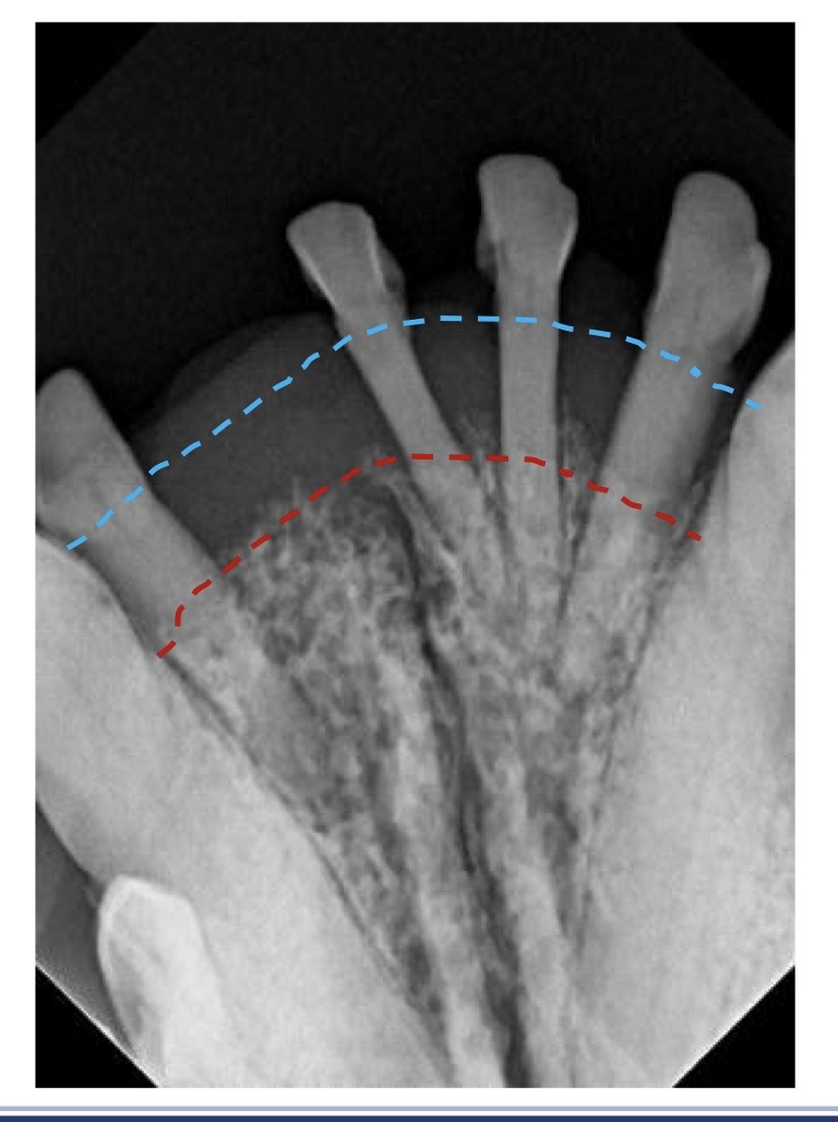 <p>what is this showing?</p>