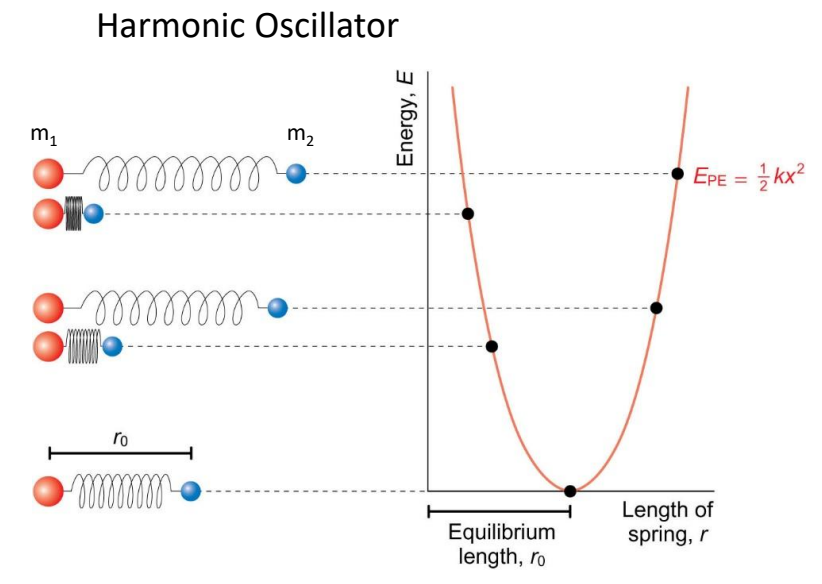 <p>in a harmonic oscillator, how is force related to potential energy (E<sub>PE</sub>)?</p>