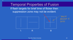 <p>True or False: </p><p>If you flash targets for a brief time of flicker, then suppression zone MAY NOT be evident</p>