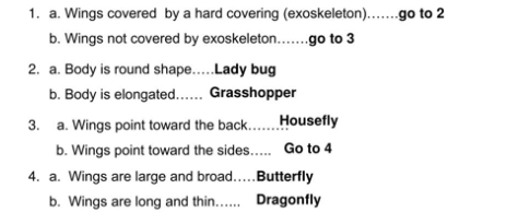 <p>How do dichotomous keys present information?</p>