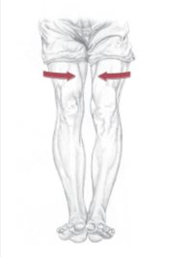 <p><span>Which of the following are the synergists of the motion depicted below? Select all that apply.</span></p>