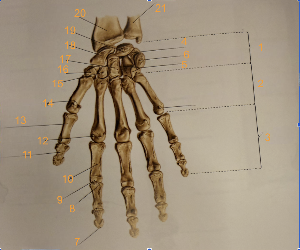 <p>8</p>