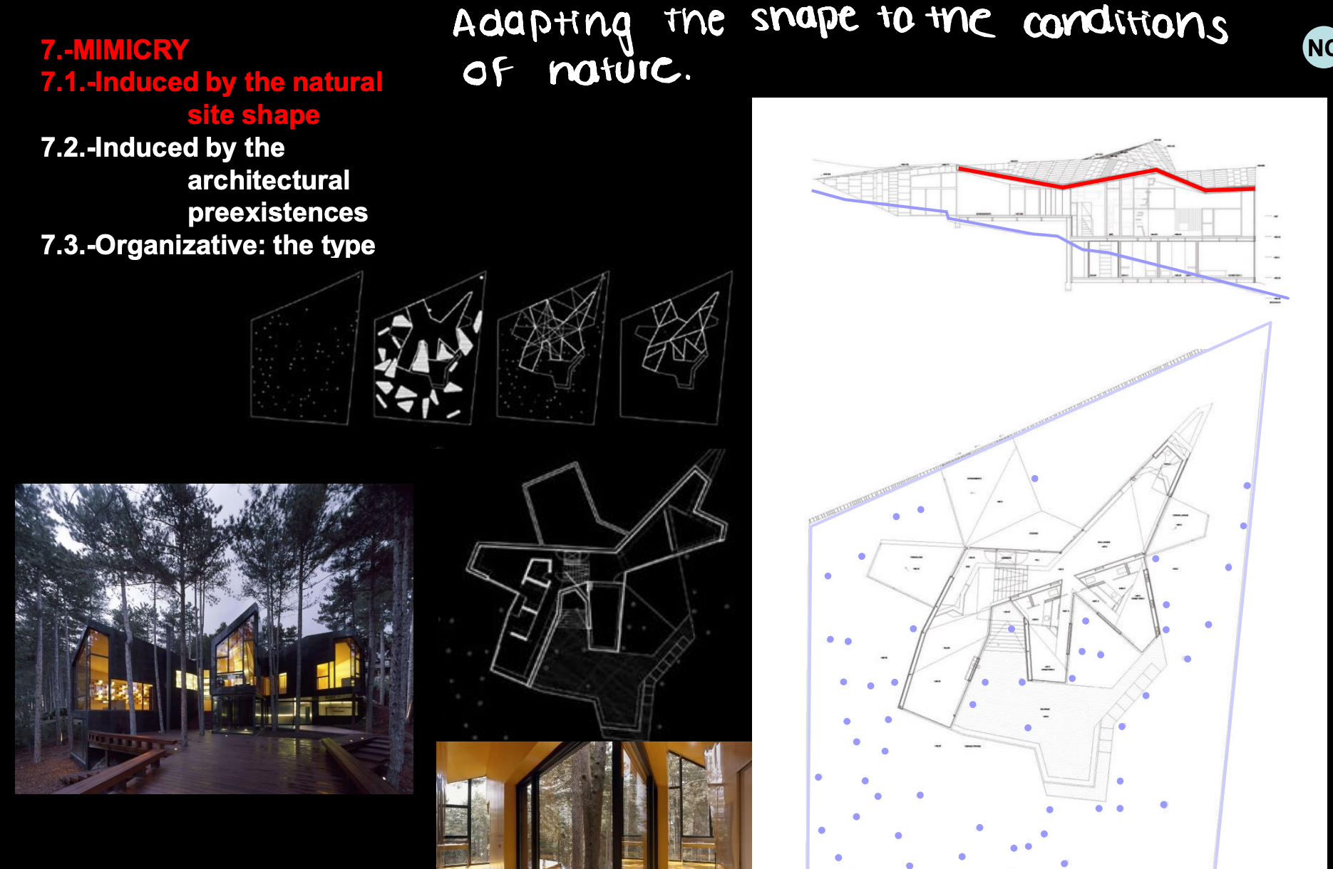 <p>Theme 5 </p><p>Mimicry</p><p>Induced by the natural site shape</p>