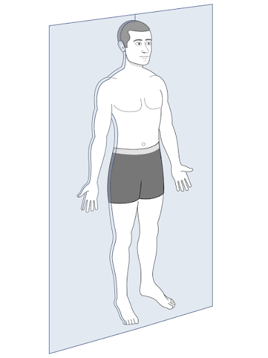 <p>A vertical plane dividing the body into anterior (front) and posterior (back) sections.</p>