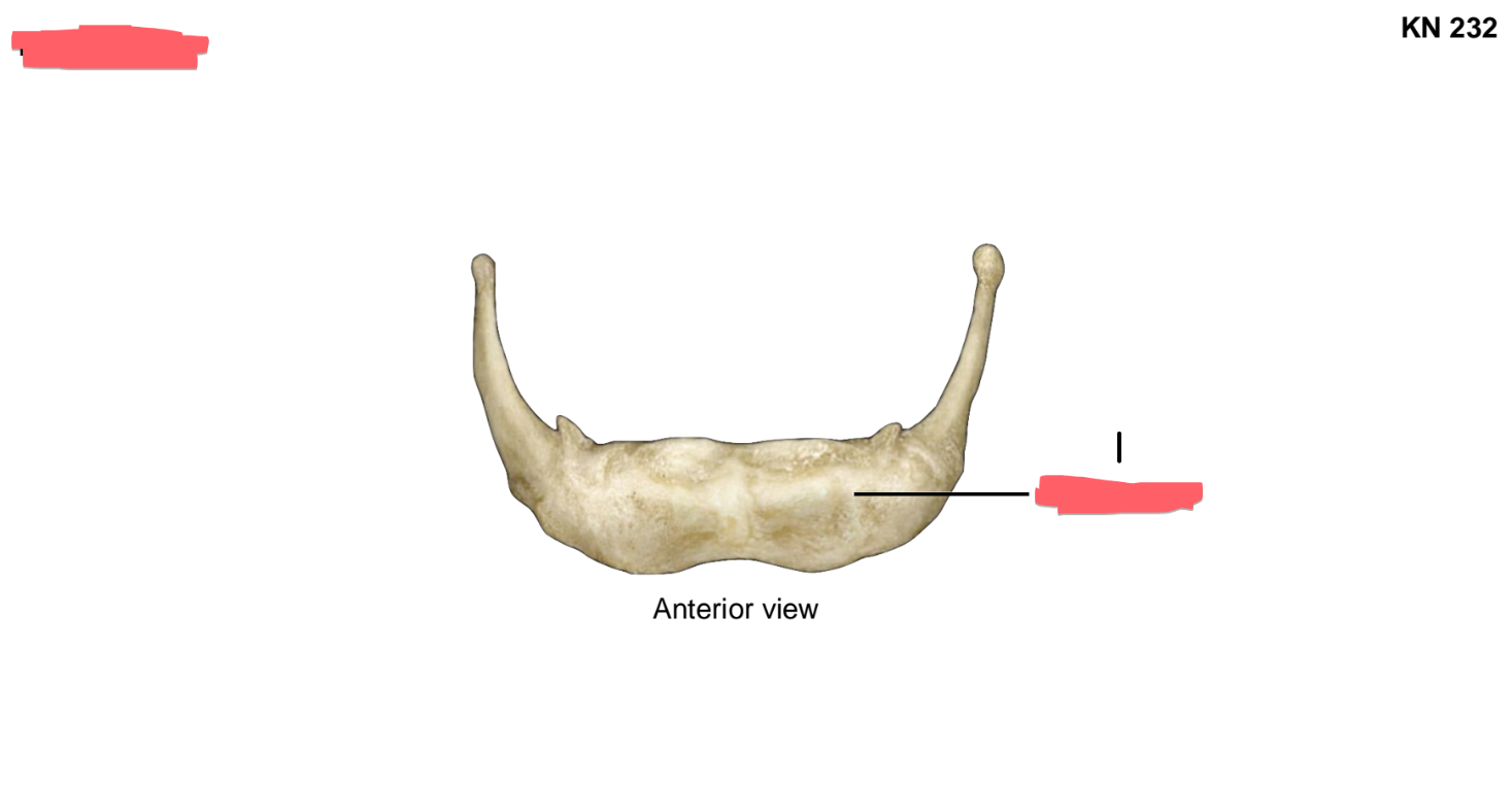 <p>1</p>