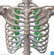 <p>Identify the structure</p>