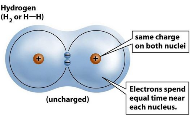 <p>electrons are shared EQUALLY between the atoms of molecule such as CO2</p>