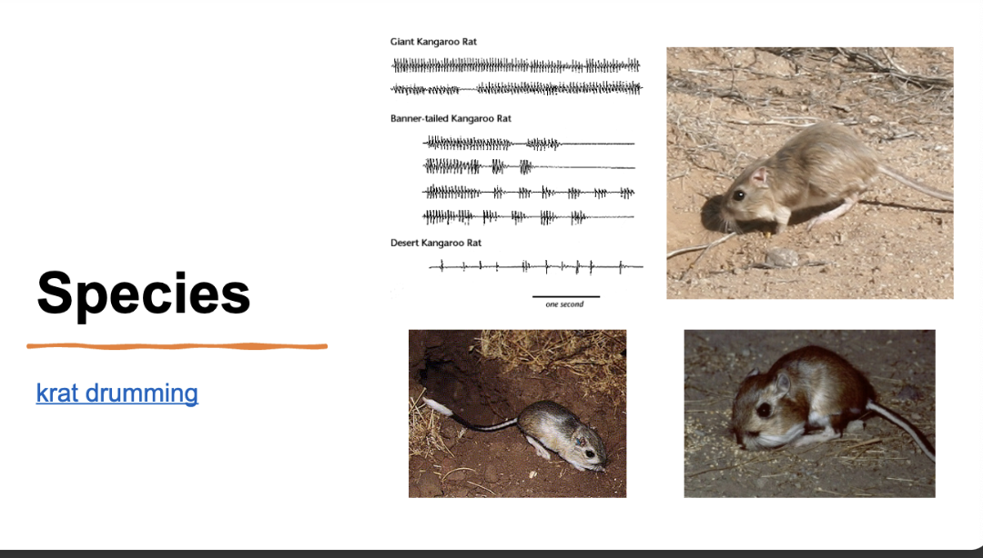 <p>know this example </p>