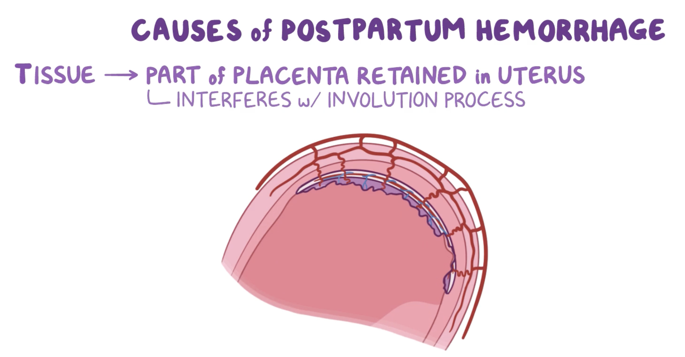 <p>Tissue</p>