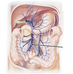 <p>Identify the structure</p>