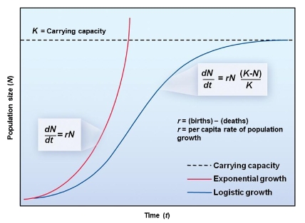 <p>logistic growth incorporates limiting factors, demonstrating how resources and environmental pressures regulate population size</p>