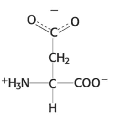 <p>Negatively charged (Acidic)</p><p>Side chain: COO- (Double bond points down)</p><p>Notice it is acidic</p><p>Hydrophilic</p><p>Asp</p><p>D</p>