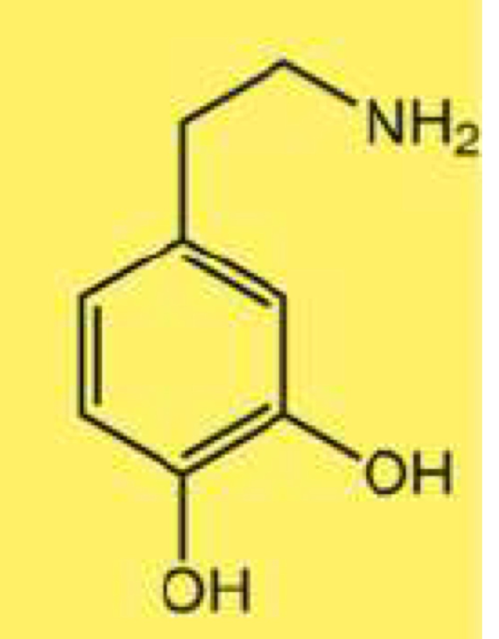 <p>Riconosci molecola</p>