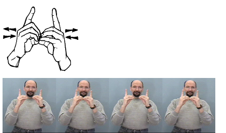 <p>both hands make a “d” and the fingertips touch</p>