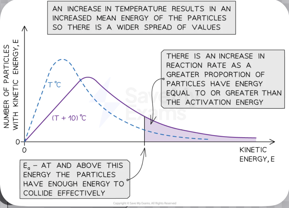 <p><span>When temperature increases: the peak of the curve shifts to the right (higher energy) and becomes lower and flatter. The area under the curve remains the same (the total number of particles is unchanged). Crucially, the area under the curve to the right of the activation energy (Ea) increases significantly — a much greater proportion of particles now have energy ≥ Ea. This explains why even a small temperature rise greatly increases the rate — the increase in the proportion of successful collisions is much larger than you might expect.</span></p>