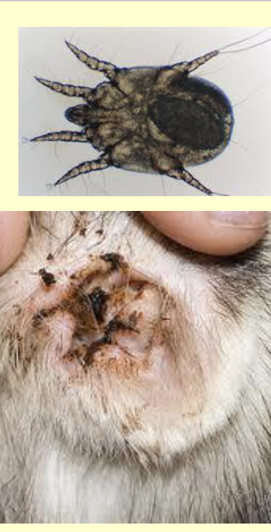 <p>What is this?</p>
