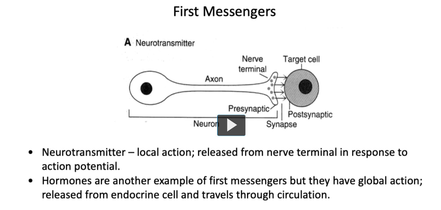 <p><strong>First Messengers</strong></p><p><strong>neurotransmitters</strong> are considered the <strong>local first messengers </strong>in the <strong>nervous system</strong>. </p><p><u>A Neurotransmitter</u></p><p>(A diagram labeling: Neuron, Axon, Nerve terminal, Presynaptic, Synapse, Postsynaptic, Target cell)</p><p>• <strong>Neurotransmitter</strong> – local action; <strong>released</strong> from <strong>nerve terminal</strong> <strong>in response</strong> to <strong>action potential.</strong></p><p>Neurotransmitters specifically act at <strong>synaptic junctions</strong>. Therefore, understanding this distinction is key when evaluating drug targets and the neurophysiology. <br>• <strong>Hormones</strong> <strong>are another example of first messengers</strong> but <strong>they have global action</strong>; <strong>released</strong> <strong>from endocrine cell</strong> and<strong> travels through circulation</strong>.</p>