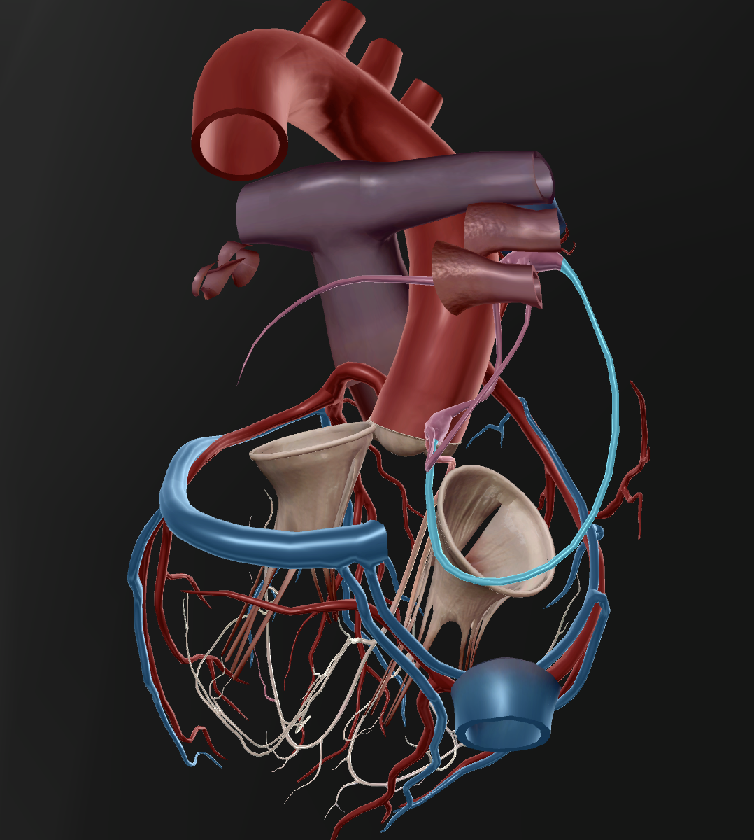 knowt flashcard image